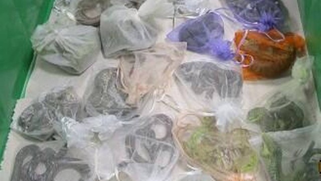 Cobras e lagartos estavam dentro de sacos pl&aacute;sticos – Foto: Divulga&ccedil;&atilde;o