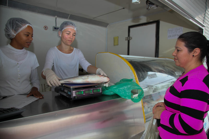 Servi&ccedil;o funciona em Itaja&iacute; desde 2005 – Foto: Prefeitura de Itaja&iacute;/Reprodu&ccedil;&atilde;o