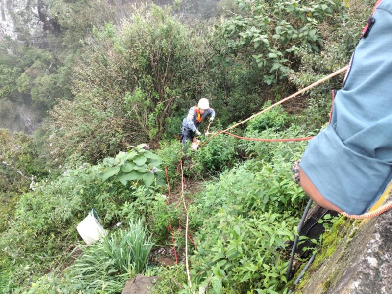 Acidente ocorreu na tarde deste domingo (27). – Foto: Corpo de Bombeiros Militar/Divulga&ccedil;&atilde;o/ND