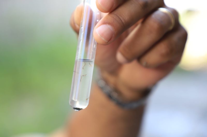 Casos de dengue cresceram em Xanxer&ecirc; – Foto: Fotos: Marcos Albuquerque/PMF