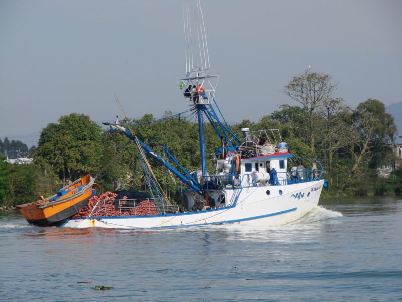 Sindicato divulgou nota com posi&ccedil;&atilde;o contr&aacute;ria a decis&atilde;o da SAP – Foto: Divulga&ccedil;&atilde;o/SINDIPI/ND