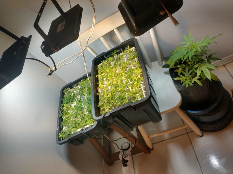 Pol&iacute;cia Civil cumpriu mandados de busca e apreens&atilde;o na tarde desta quinta-feira – Foto: Pol&iacute;cia Civil/Divulga&ccedil;&atilde;o/ND