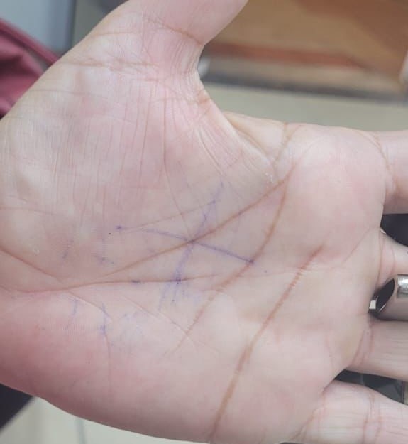 Desenho internacional faz refer&ecirc;ncia a pedido de socorro por mulheres que sofrem algum tipo de viol&ecirc;ncia. – Foto: Divulga&ccedil;&atilde;o ND