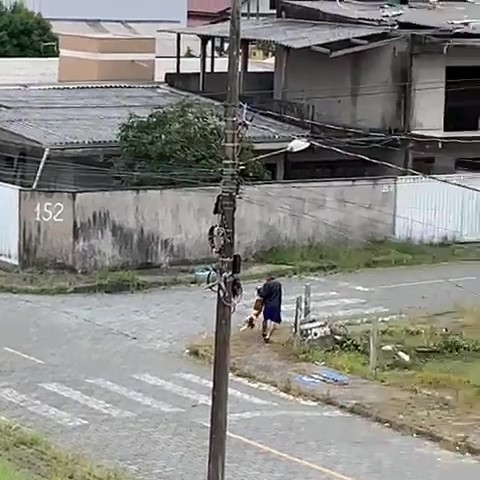 Homem foi flagrado batendo no animal – Foto: Internet/Reprodu&ccedil;&atilde;o