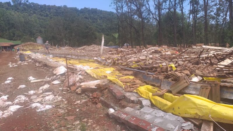 aviário foi ao chão