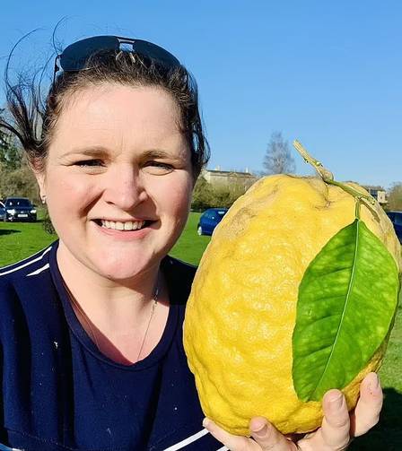 A fruta, do tamanho da cabeça de um ser humano, era 20 vezes maior do que um limão comum.  – Foto: Reprodução