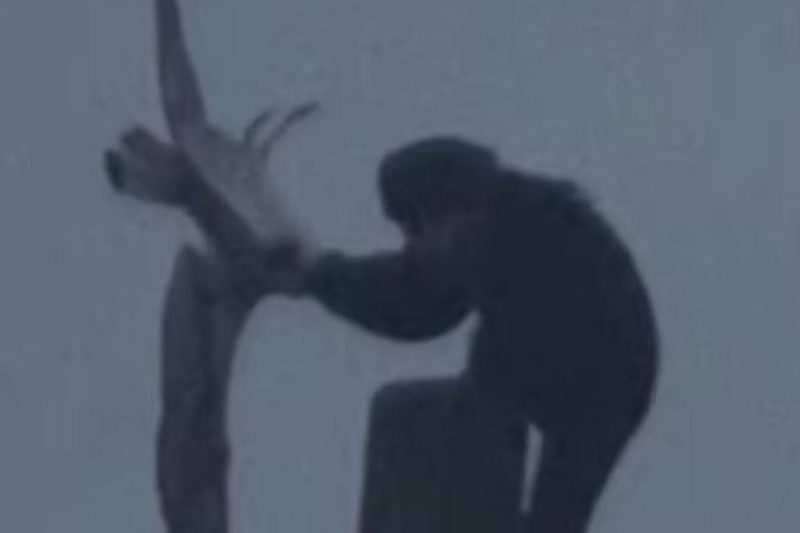 Macaco matou ave violentamente e a&ccedil;&atilde;o foi gravada – Foto: Reprodu&ccedil;&atilde;o/YouTube