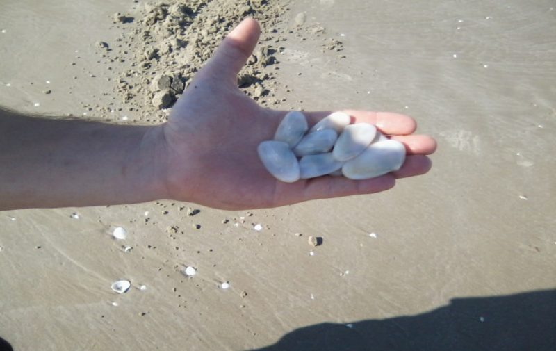 Dois moradores passam mal ap&oacute;s consumir mariscos contaminados por microalgas – Foto: Prefeitura Arroio do Silva/Divulga&ccedil;&atilde;o/ND
