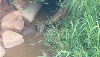 Empres&aacute;rio ter&aacute; que pagar multa no valor de R$ 21 mil – Foto: MPSC/ND