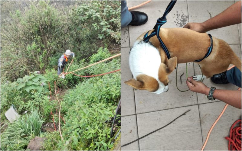 Acidente ocorreu na tarde desse domingo (27). – Foto: Corpo de Bombeiros Militar/Divulga&ccedil;&atilde;o/ND