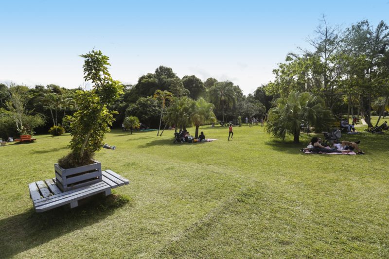 Foto do Parque Natural Municipal Raimundo Gonzalez Malta, em Balneário Camboriú. A foto mostra um grande gramado com várias e pessoas deitadas sobre toalhas embaixo de várias árvores. Não é possível ver o rosto das pessoas. 