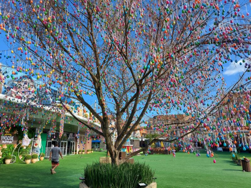 ‘Um piquenique recheado de surpresas’: P&aacute;scoa em Blumenau j&aacute; tem data para come&ccedil;ar; veja quando – Foto: Adriano Lins/Parque Vila Germ&acirc;nica/ND