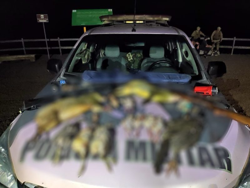 Policiais encontraram 13 animais silvestres abatidos, sendo duas cutias, nove pombas, um trinca ferro e um jacu – Foto: PMA/ND
