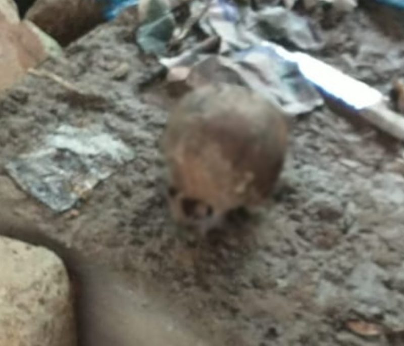 Cr&acirc;nio foi encontrado junto com uma faca em Palho&ccedil;a. – Foto: PMSC/Divulga&ccedil;&atilde;o/ND