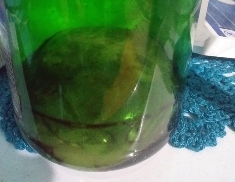 Na casa do suspeito, a pol&iacute;cia encontrou um &oacute;rg&atilde;o, similar a um cora&ccedil;&atilde;o de um animal, em um vidro – Foto: Pol&iacute;cia Civil/ND