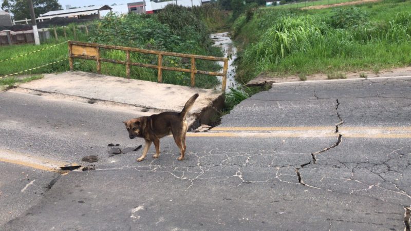 Ponte cedeu nesta ter&ccedil;a-feira (8) &agrave; noite, em I&ccedil;ara – Foto: Karol Carvalho/NDTV