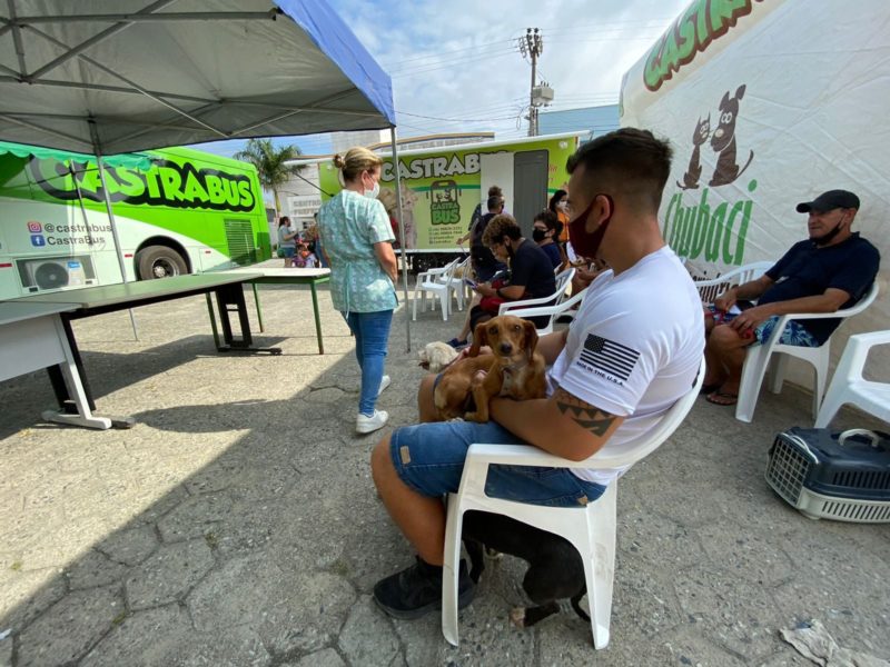 Na primeira fase do mutir&atilde;o mais de 950 animais foram castrados – Foto: Divulga&ccedil;&atilde;o/Prefeitura Navegantes/ND