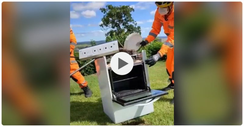 Animal foi resgatado e devolvido ao seu habitat natural – Foto: Reprodu&ccedil;&atilde;o/ND