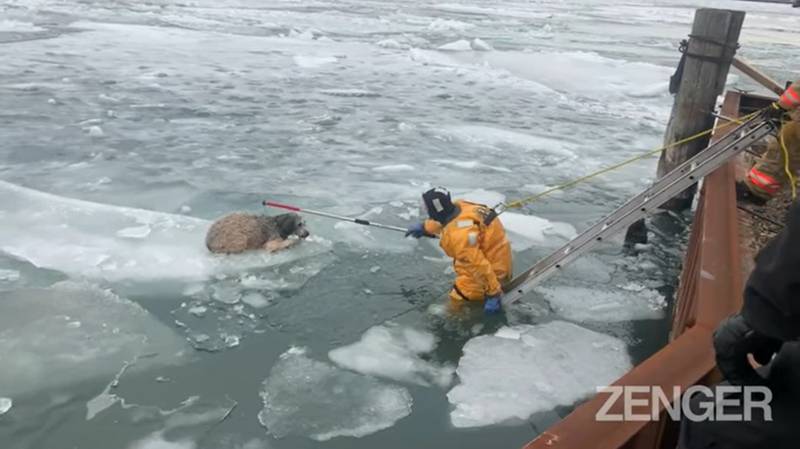 Resgate aconteceu no dia 28 de fevereiro, em Michigan – Foto: Youtube/Reprodu&ccedil;&atilde;o/ND