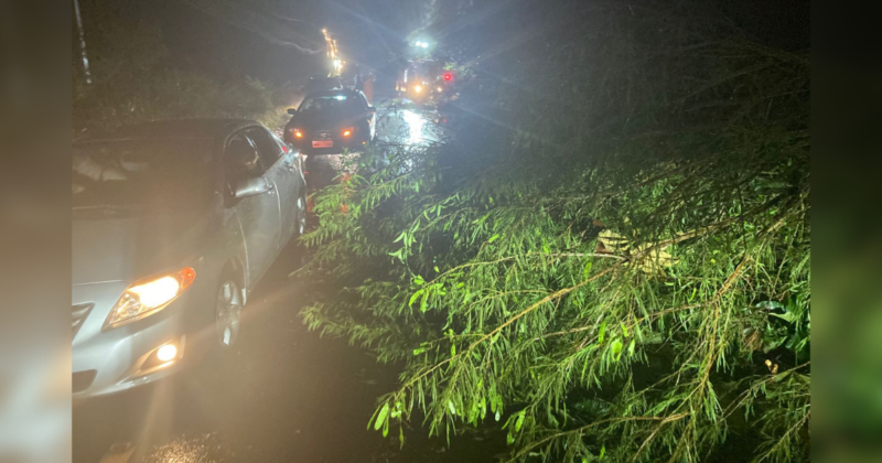 &Aacute;rvores e poste ca&iacute;dos obstru&iacute;ram rodovia – Foto: Divulga&ccedil;&atilde;o/CBM/ND