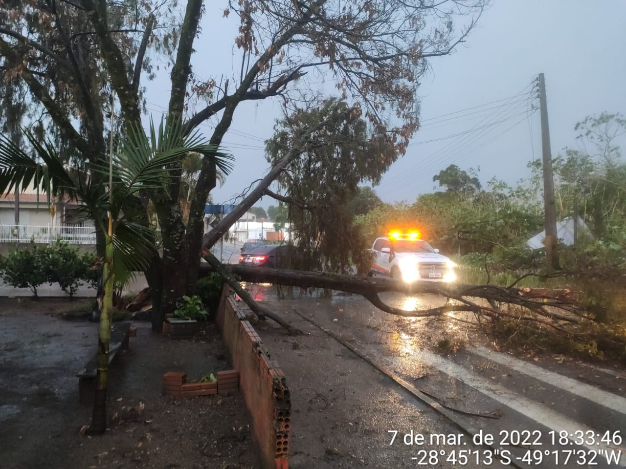 Árvores e postes caíram sobre estradas em Içara - Divulgação/ND