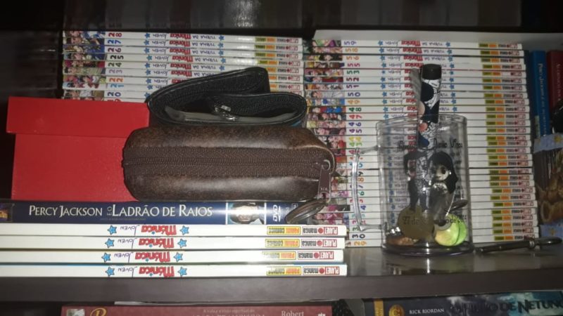 Parte da cole&ccedil;&atilde;o particular de Lucas fica guardada em um ba&uacute; na casa de seus pais, em Quat&aacute;, no interior de S&atilde;o Paulo – Foto: Lucas Ortiz/Arquivo Pessoal/ND