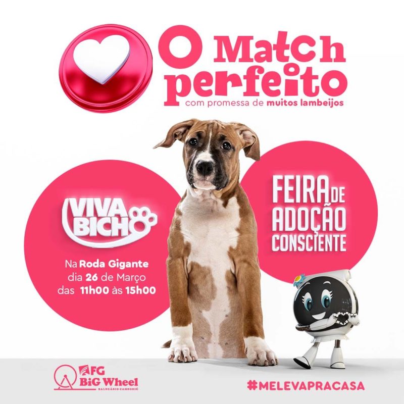 Feira de animais na roda gigante acontece na semana que vem – Foto: Divulga&ccedil;&atilde;o/ONG Viva Bicho/ND