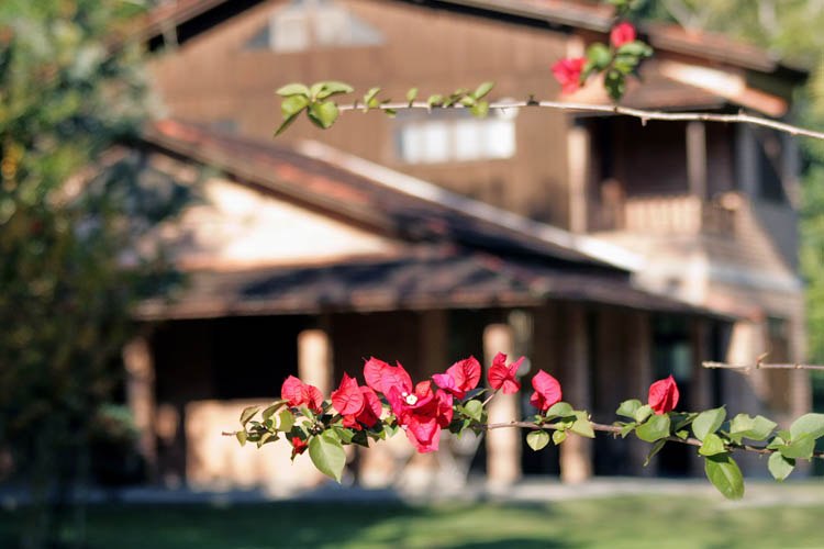 Celebrando 138 anos, Cambori&uacute; &eacute; ref&uacute;gio natural em meio ao litoral – Foto: Secretaria de Turismo de Cambori&uacute;/Divulga&ccedil;&atilde;o/ND