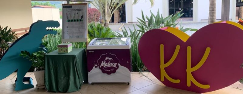 Foram comercializados picol&eacute;s para os colaboradores do grupo e todo valor arrecadado foi entregue ao Lar das Crian&ccedil;as de Guaramirim – Foto: Grupo Romitex