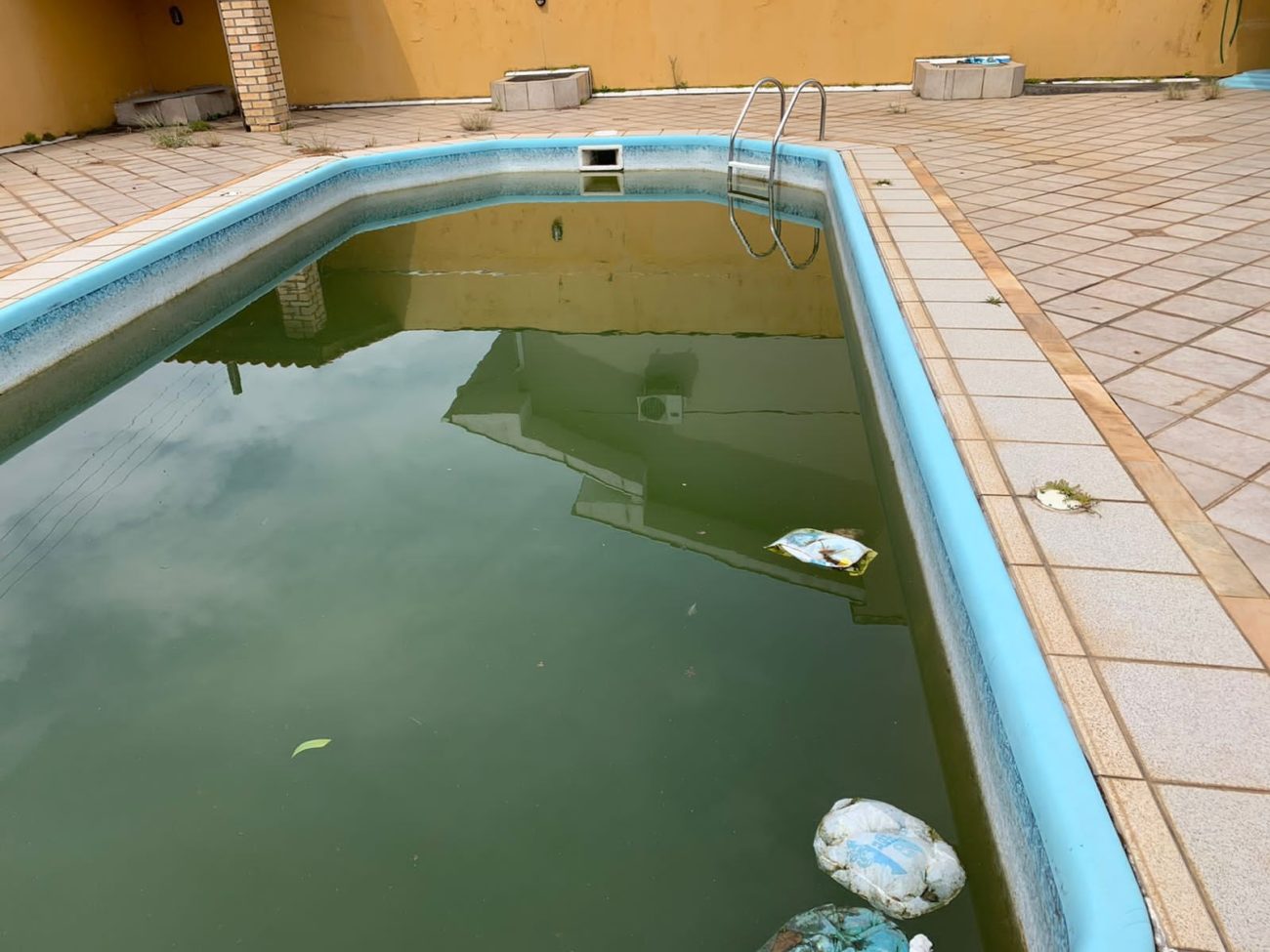 La piscina fue el foco de un mosquito del dengue en una casa desocupada en el barrio de Itakoropi - Foto: Reproducción/Facebook/ND - 277723737_5600107423336681_1475694548413005819_n