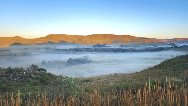 Serra catarinense registra temperaturas m&iacute;nimas na manh&atilde; desta quarta (20) – Foto: Mycchel Legnaghi/S&atilde;o Joaquim Online/Divulga&ccedil;&atilde;o/ND