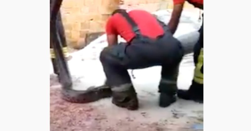 Sucuri media entre 3 e 4 metros e n&atilde;o deu no inv&oacute;lucro – Foto: Reprodu&ccedil;&atilde;o