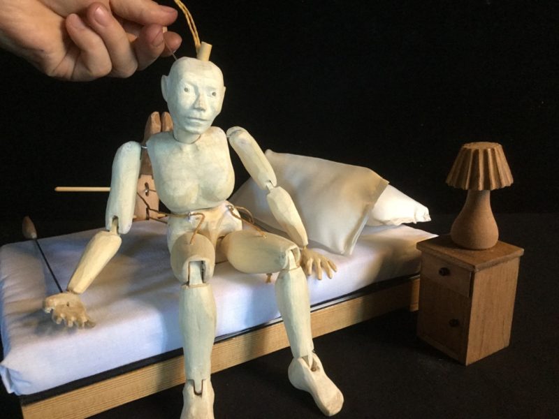 Animaneco acontece de 22 a 30 de abril com programa&ccedil;&atilde;o em tr&ecirc;s cidades de SC – Foto: Divulga&ccedil;&atilde;o/ND