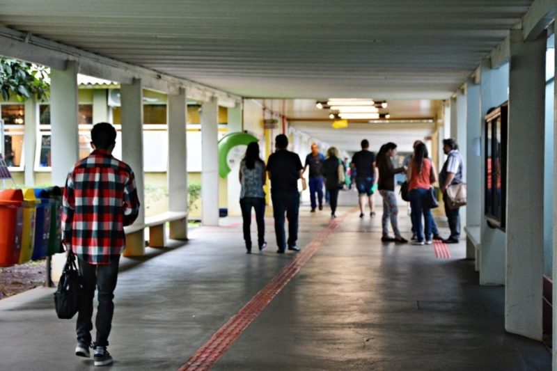 Quais são os próximos passos do Universidade Gratuita