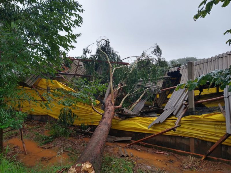 Árvores foram arrancadas pela força do vento em Palma Sola &#8211; Foto: Prefeitura de Palma Sola/ND