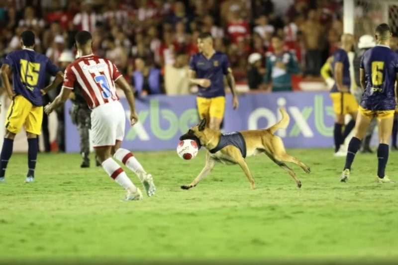 Boris mostrou talento na final do Campeonato Pernambucano – Foto: Marlon Costa/Pernambuco Press