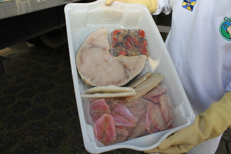 Caminh&atilde;o do Peixe de Itaja&iacute; atende em hor&aacute;rio especial na Semana Santa – Foto: Prefeitura de Itaja&iacute;/Divulga&ccedil;&atilde;o