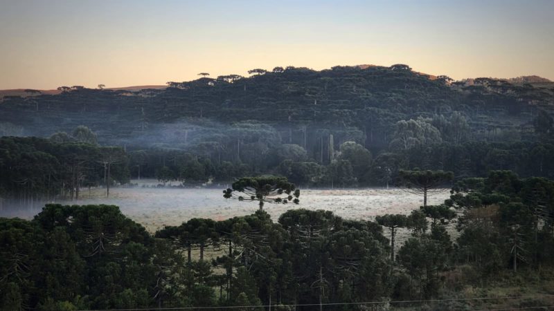 Serra catarinense durante geada – Foto: Mycchel Legnaghi/S&atilde;o Joaquim Online/Divulga&ccedil;&atilde;o/ND