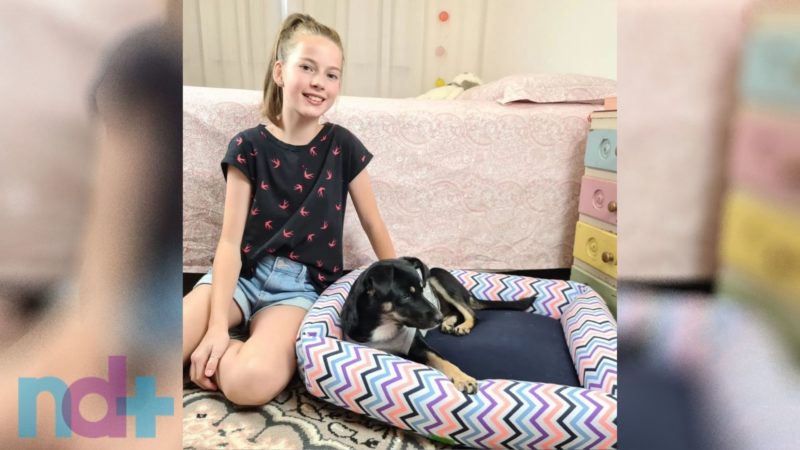 Pretinha como foi chamada &eacute; adotada pela fam&iacute;lia de Cibely, a menina que a resgatou na chuva. – Foto: Dog You/ Reprodu&ccedil;&atilde;o