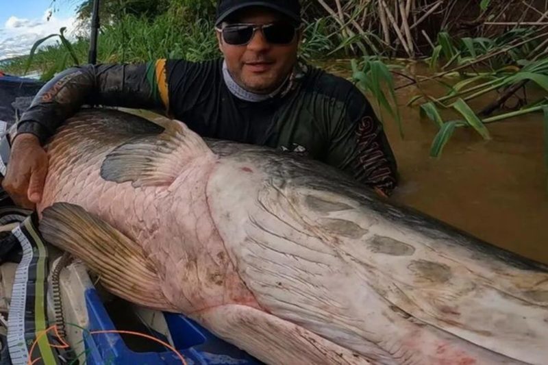 PESCA ESPORTIVA: Porto Velho recebe grandes pescadores do país