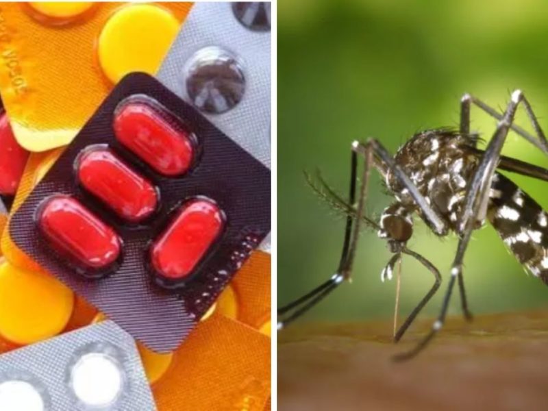 Blumenau divulgou lista de remédios contraindicados em caso de dengue
