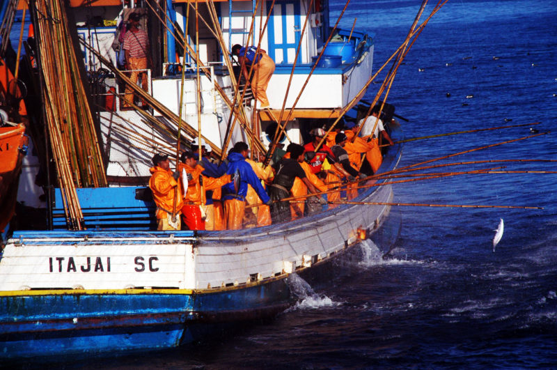 Itaja&iacute; vai receber encontro nacional ainda este m&ecirc;s – Foto: Divulga&ccedil;&atilde;o/SINDIPI/ND