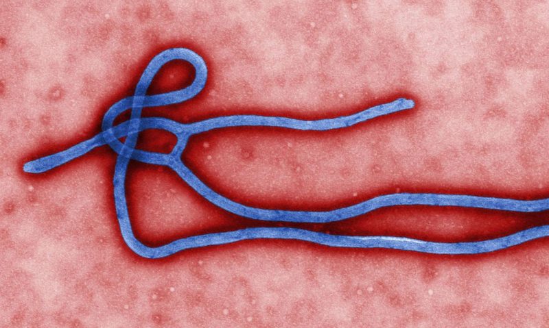 Novo caso de ebola foi registrado na República Democrática do Congo &#8211; Foto: Divulgação/ND
