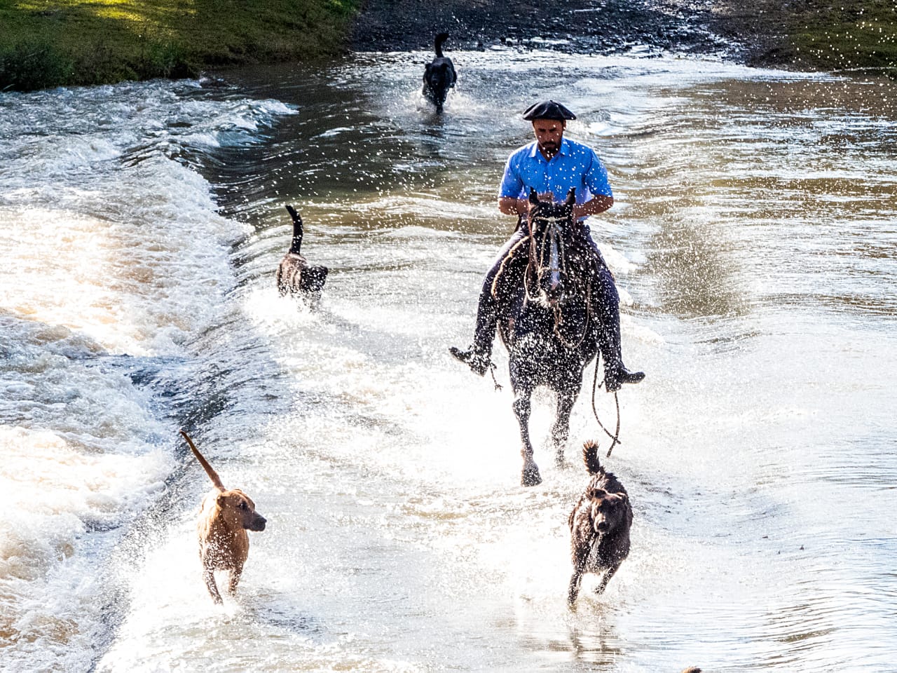 Um dos atrativos da fazenda são os passeios a cavalo - Fazenda do Barreiro/Divulgação