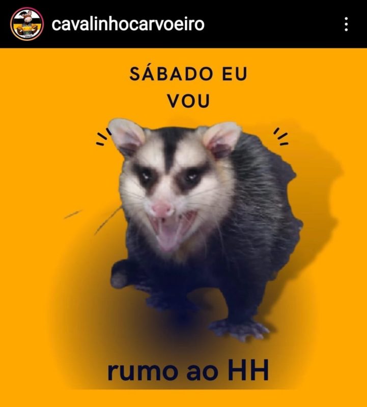 Torcedor brinca nas redes sociais com imagem do gamb&aacute;. –&nbsp; &nbsp; &nbsp; &nbsp;Imagem: cavalinhocarvoeiro