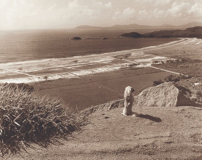 Entre montanhas, Mata Atlântica e o mar iniciou, em 1997, a construção do loteamento – Foto: Germano Rorato/Divulgação
