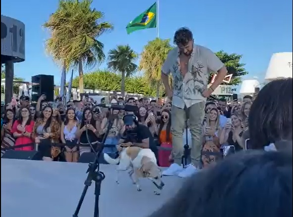 Show de Gustavo Mioto &eacute; interrompido por cadelinha – Foto: Reprodu&ccedil;&atilde;o/Internet/ND