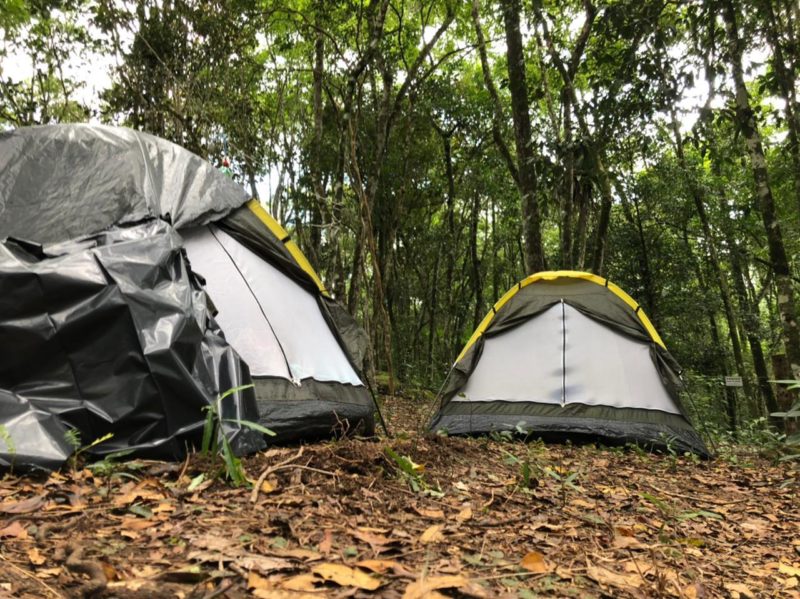 Foto: Imperial Green/Divulgação