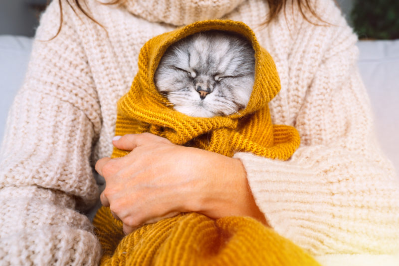 O outono chega com as mudanças de temperaturas e clima seco – Foto: Divulgação