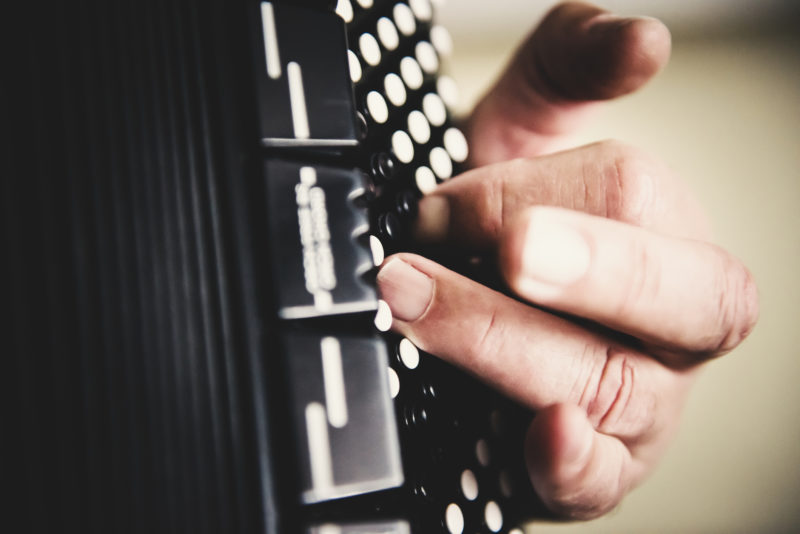 O projeto tem como objetivo promover a cultura por meio da forma&ccedil;&atilde;o com acorde&atilde;o diat&ocirc;nico – Foto: Divulga&ccedil;&atilde;o